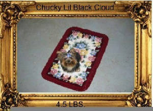 chucky.jpg