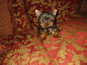 picture002.jpg